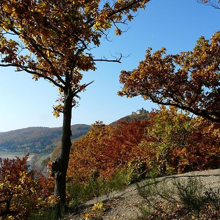 ואלדק Belvedere - Das Bio Hotel Garni & Suitehotel Am Edersee ! Unser Geschenk Fuer Sie, Auch Die Gaestecard Grimmheimat! מראה חיצוני תמונה